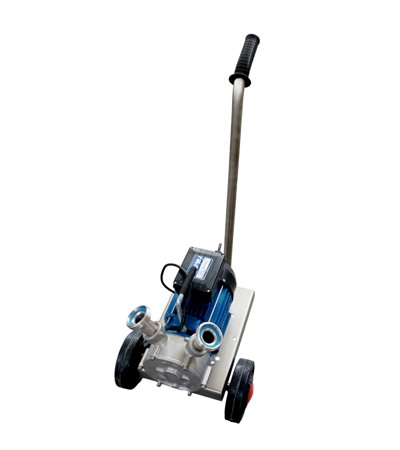 20250527_110115 SITO